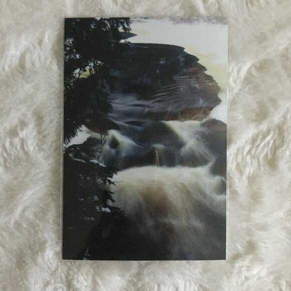 Four Canadian Winter Original Photographs Bark, Twigs, River - Picture 3 of 7